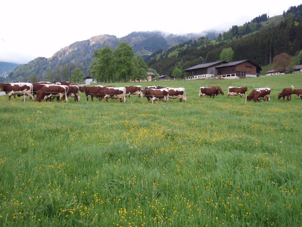 Palfnerhof Appartements Sankt Johann im Pongau Zewnętrze zdjęcie