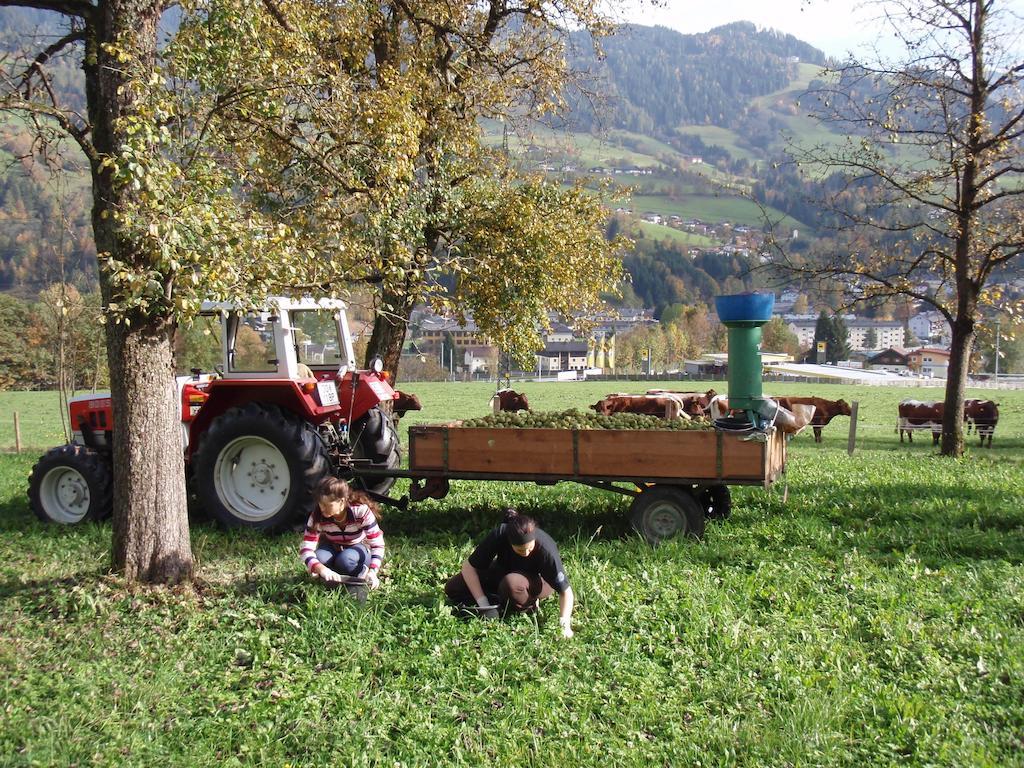 Palfnerhof Appartements Sankt Johann im Pongau Zewnętrze zdjęcie